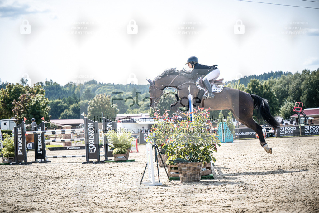 DOS_7793 | Entdecke hochwertige Reitturnierfotos von Foto Oger. Professionell, emotional und authentisch – jetzt Lieblingsmomente im Shop bestellen. - Realisiert mit Pictrs.com