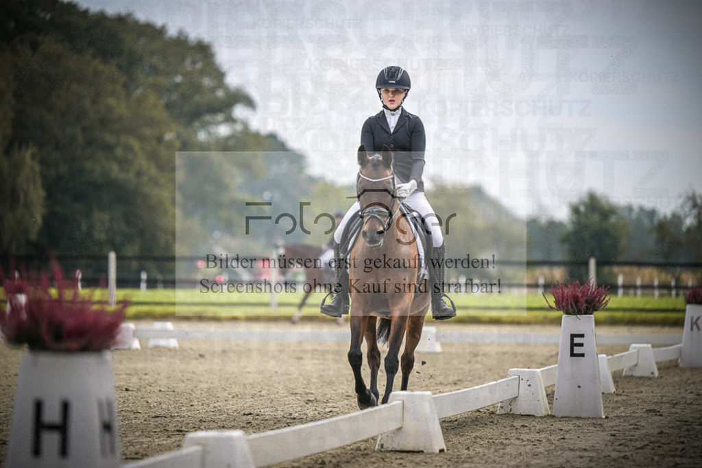 DOS_B461 | Entdecke hochwertige Reitturnierfotos von Foto Oger. Professionell, emotional und authentisch – jetzt Lieblingsmomente im Shop bestellen.Deutschlandweite Turnierfotografie. - Realisiert mit Pictrs.com