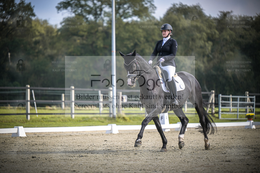 DOS_B730 | Entdecke hochwertige Reitturnierfotos von Foto Oger. Professionell, emotional und authentisch – jetzt Lieblingsmomente im Shop bestellen. - Realisiert mit Pictrs.com