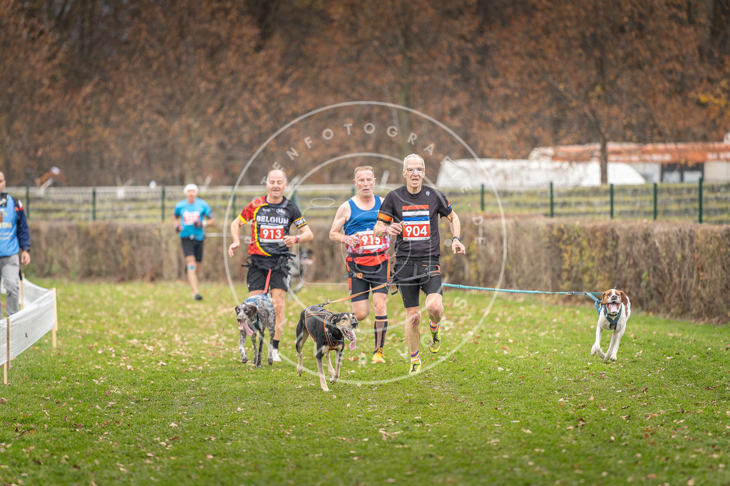 CaniXpix_DV3A7015 | Hundefotografie, Tierfotograf, Pfotenfotografie, Fotoshooting Hund, Hunde Portrait, Hundesport, Hundeportraits, Heideshooting, Hunde, Sportfotograf, Hundefotograf, Turnierhundsport, THS,  - Realisiert mit Pictrs.com