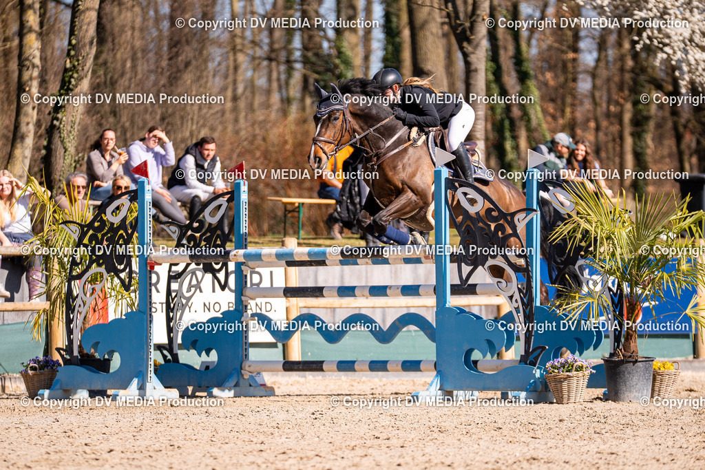 Kranichstein Tag 2-711 | dv-media-shop - Realisiert mit Pictrs.com