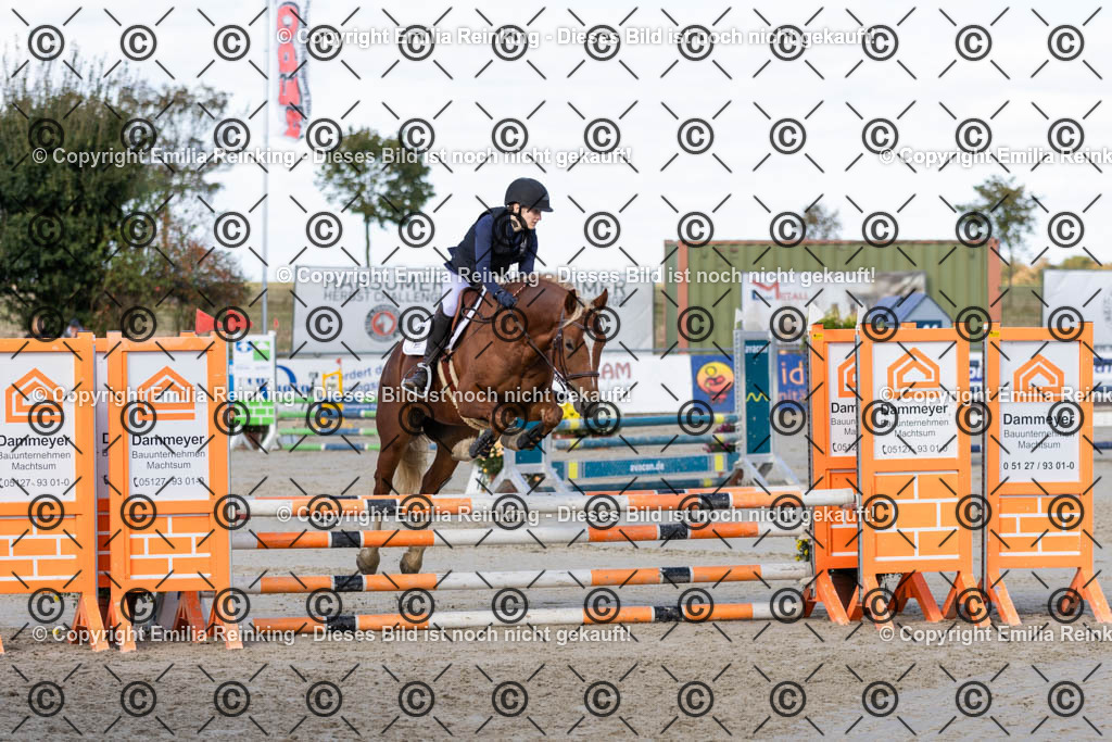 CL5A4105 | Emilia Reinking Fotografie - Realisiert mit Pictrs.com