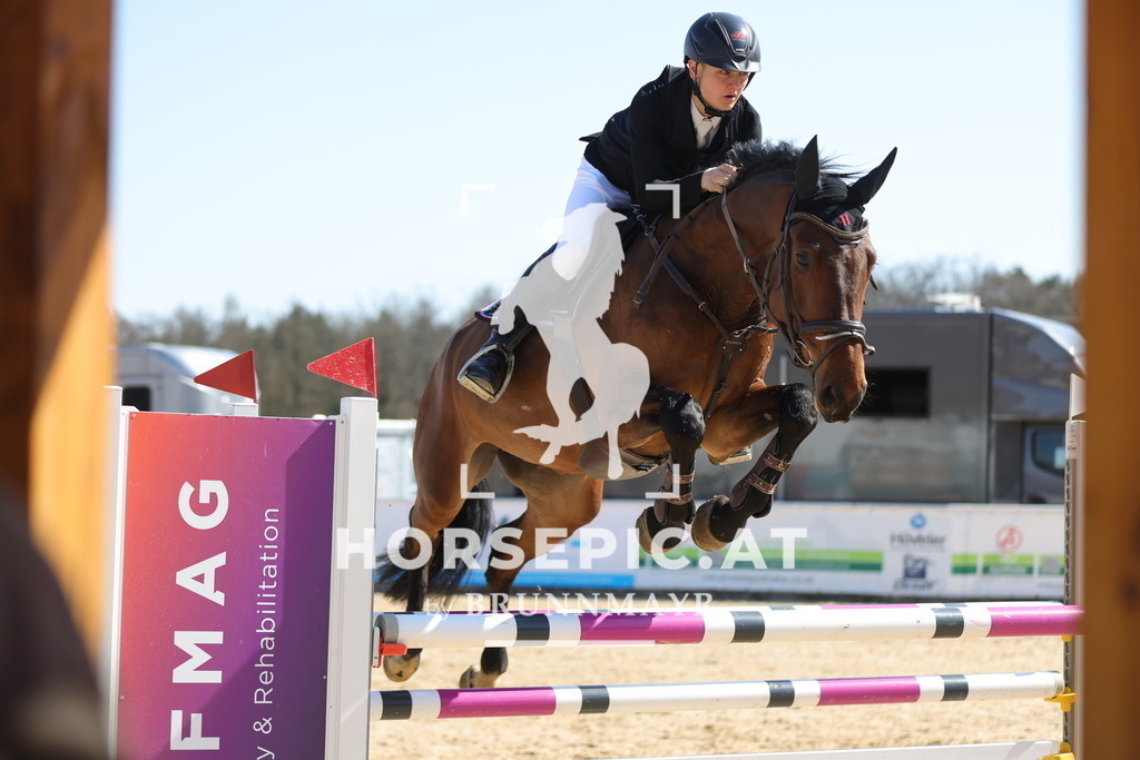 0P6A0515 | Willkommen bei Brunnmayr - Design & Fotografie – Ihrem Spezialisten für Reitturniere und Pferdeveranstaltungen in Oberösterreich, Salzburg und Bayern! Seit über 17 Jahren sind wir leidenschaftlich dabei.