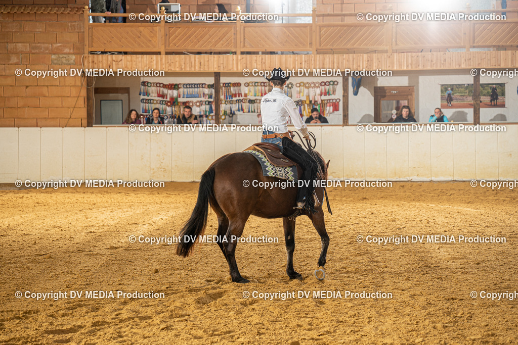 MIT00740 | dv-media-shop - Realisiert mit Pictrs.com