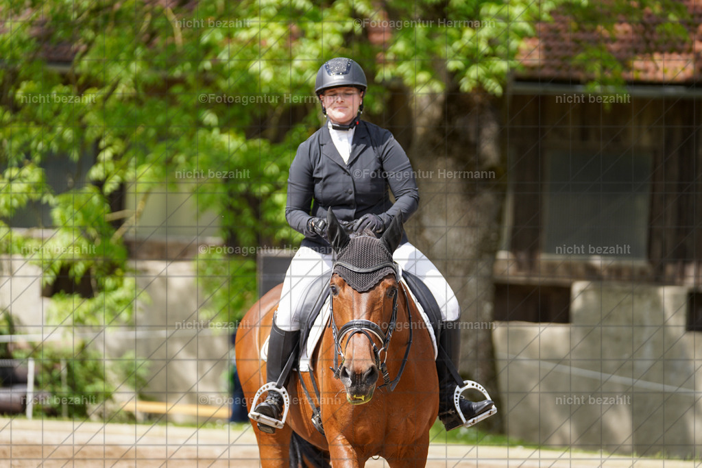 20240519-FAH04933 | Turnierbilder Niederseeon 2024, Vielseitigkeitsdressur, Reitsportbilder aus dem Landkreit Ebersberg, Gut Steinsee, RC Steinsee, Fotoagentur Herrmann