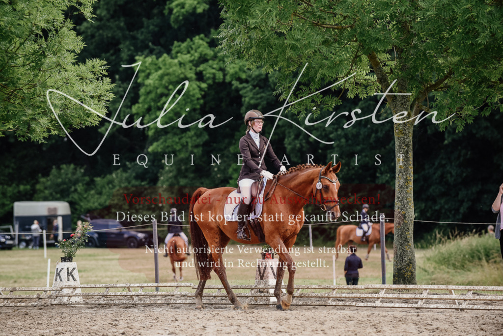 DSC_9679 | Pferde- und Turnierfotografie in Westsachsen. Pferdeportraits, Auftragszeichnungen und intuitive Kunst.