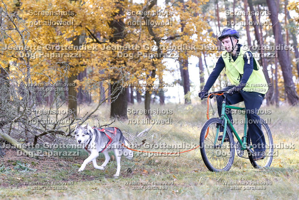 Dog Paparazzi - Elsholz 25 -154 | Dog Paparazzi Jeanette Grottendiek Fotografie & Videografie - Realisiert mit Pictrs.com