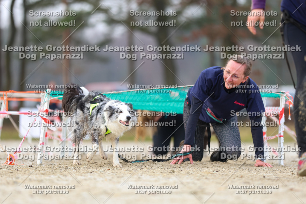 Dog Paparazzi - Strongdog North Mrz26-3997 | Dog Paparazzi Jeanette Grottendiek Fotografie & Videografie - Realisiert mit Pictrs.com