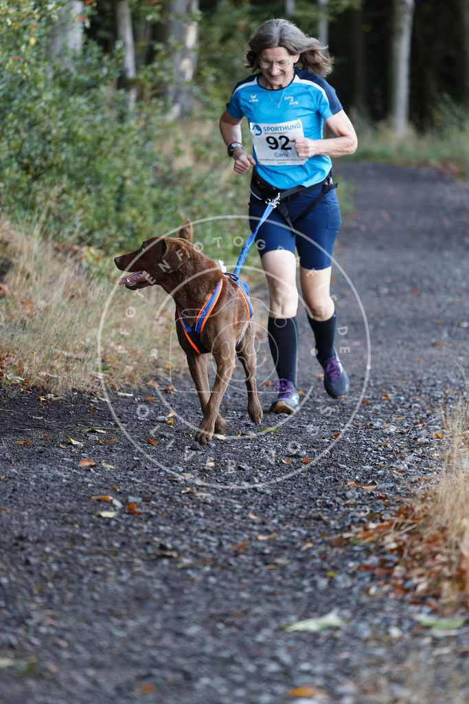 0L8A2179 | Hundefotografie, Tierfotograf, Pfotenfotografie, Fotoshooting Hund, Hunde Portrait, Hundesport, Hundeportraits, Heideshooting, Hunde, Sportfotograf, Hundefotograf, Turnierhundsport, THS,  - Realisiert mit Pictrs.com
