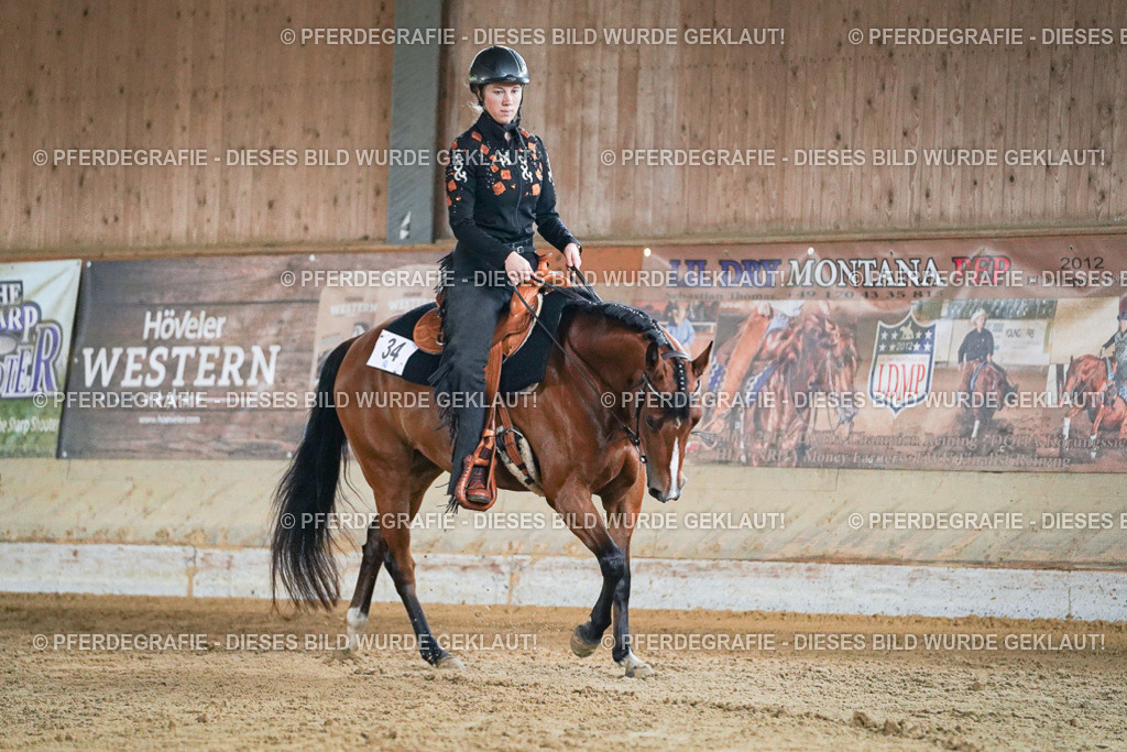 DSC05455 | Pferdegrafie