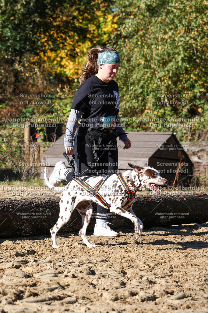 Dog Paparazzi - Strongdog 10-25-2136 | Dog Paparazzi Jeanette Grottendiek Fotografie & Videografie - Realisiert mit Pictrs.com