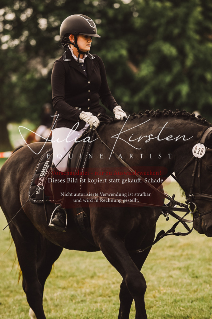 DSC_4947 | Pferde- und Turnierfotografie in Westsachsen. Pferdeportraits, Auftragszeichnungen und intuitive Kunst.