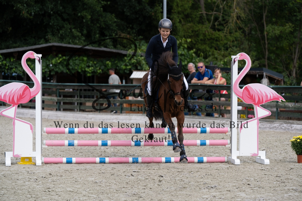 A7V07246 | Pferdefotograf