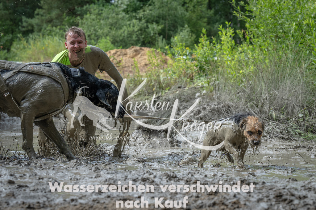 1023_ZZ92527 | kk-dogfotos