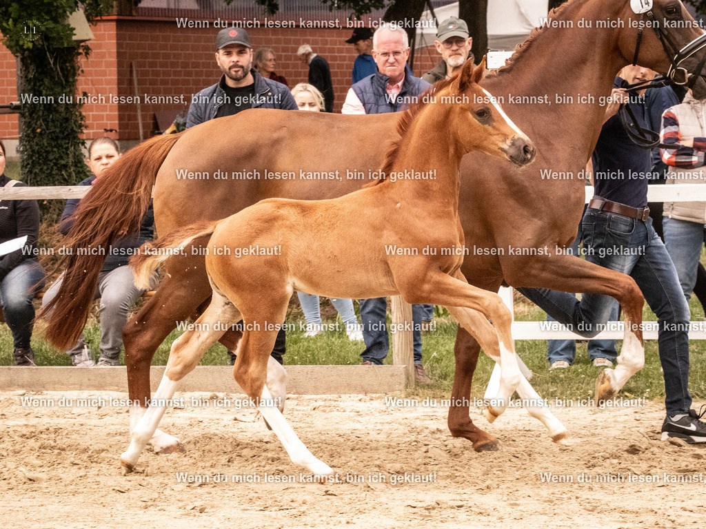 A10I0725 | photographylinaismer - Realisiert mit Pictrs.com