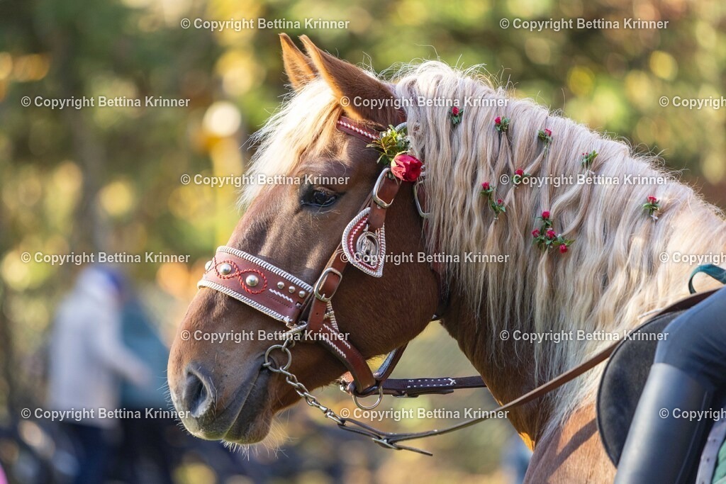 LL24-251 | foto-bettina-krinner - Realisiert mit Pictrs.com