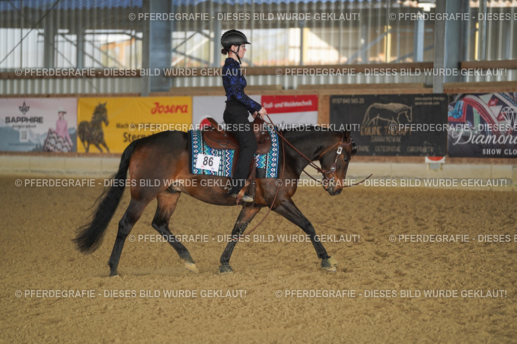 DSC08137 | Pferdegrafie