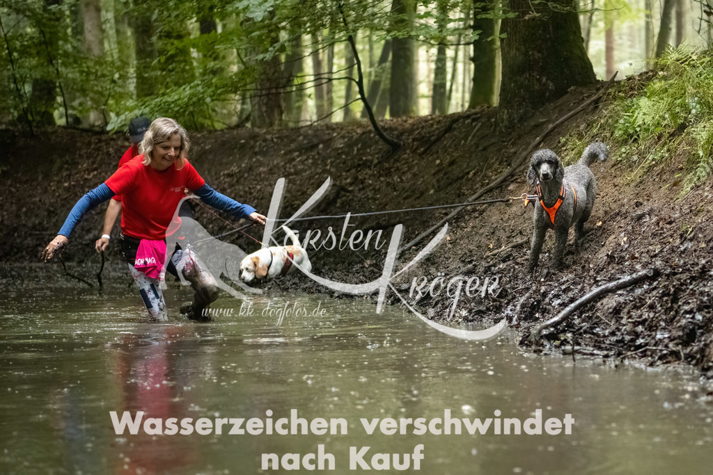 1251_ZZ91537-Bearbeitet | kk-dogfotos