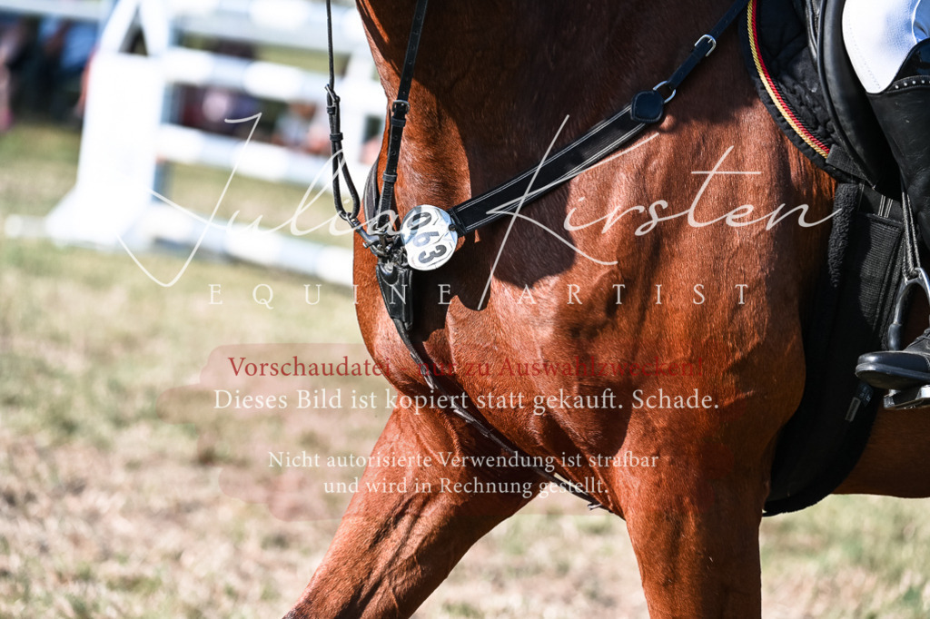 DSC_2688 | Pferde- und Turnierfotografie in Westsachsen. Pferdeportraits, Auftragszeichnungen und intuitive Kunst.