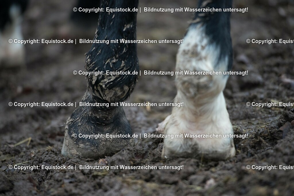 20171206_Huf_dreckig_Hartig_0001 | Foto: Thomas Hartig