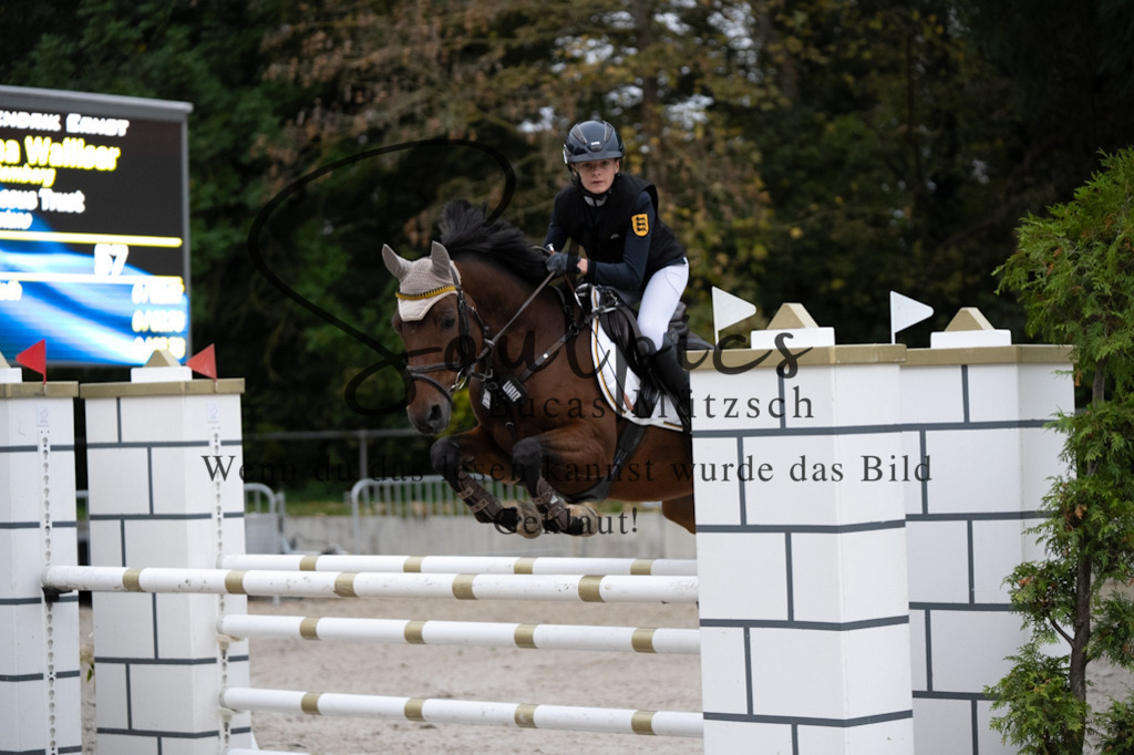 A7V08694 | Pferdefotograf