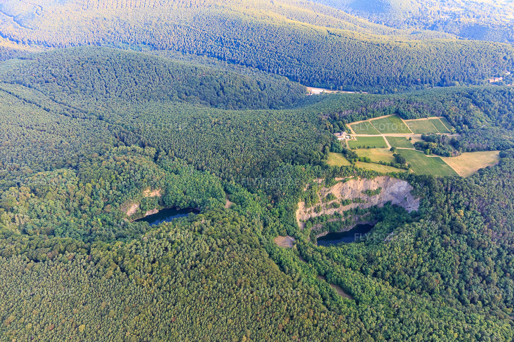 Luftbild: Basalt-Steinbruch in Forst an der Weinstraße im Bundesland Rheinland-Pfalz in Deutschland. Foto: IMG_108852.jpg vom 15.07.2018 durch Werner Riehm/FLY-FOTO.de