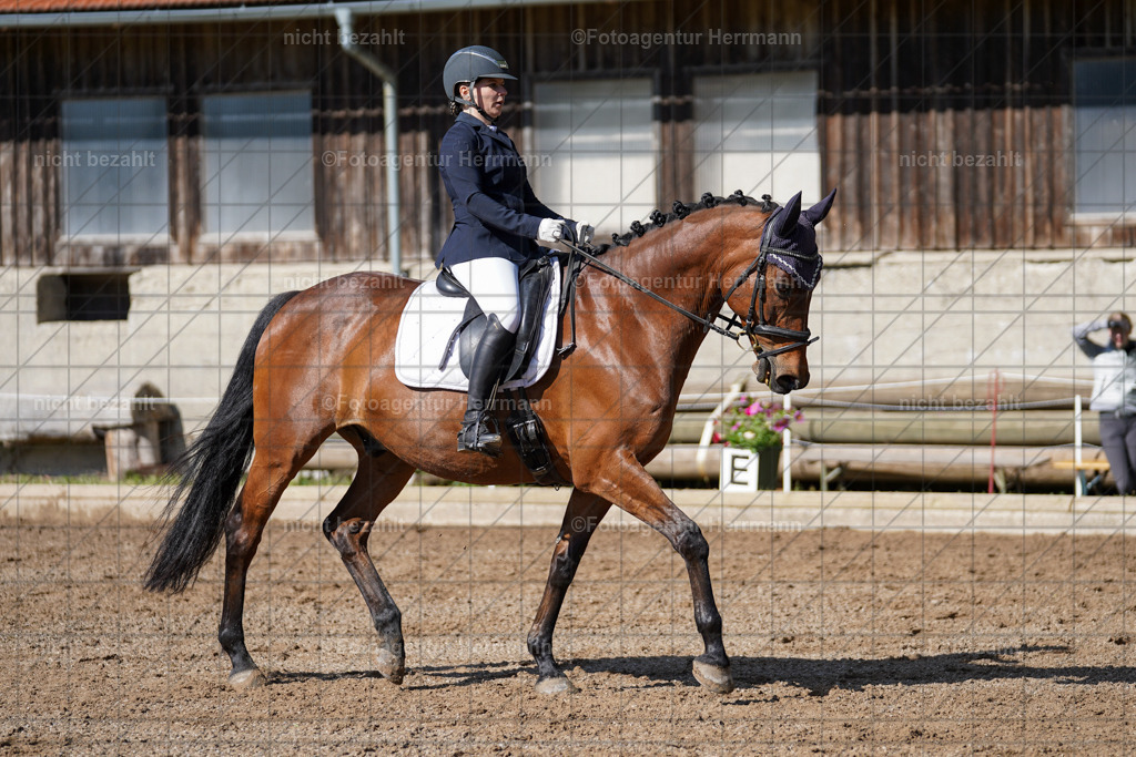 20240519-FAH04619 | Turnierbilder Niederseeon 2024, Vielseitigkeitsdressur, Reitsportbilder aus dem Landkreit Ebersberg, Gut Steinsee, RC Steinsee, Fotoagentur Herrmann