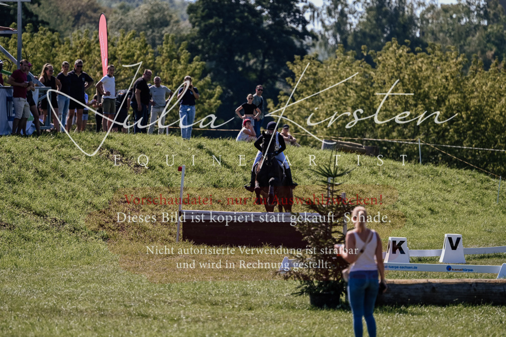 DSC_1612 | Pferde- und Turnierfotografie in Westsachsen. Pferdeportraits, Auftragszeichnungen und intuitive Kunst.