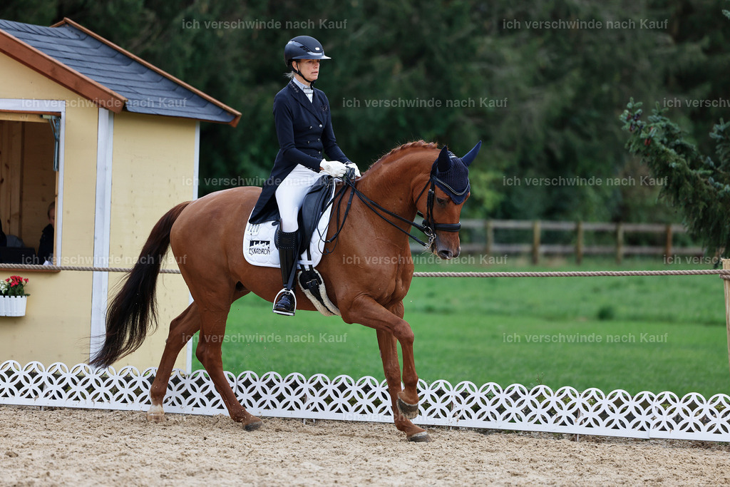 12-220-DRESSUR  S___  -StoibPH-5309 | working equitationturnier fotograf videograf stoibphotography marixx film working equitation deutschland reitsport turnierfotografie eventfotografie equestrian events