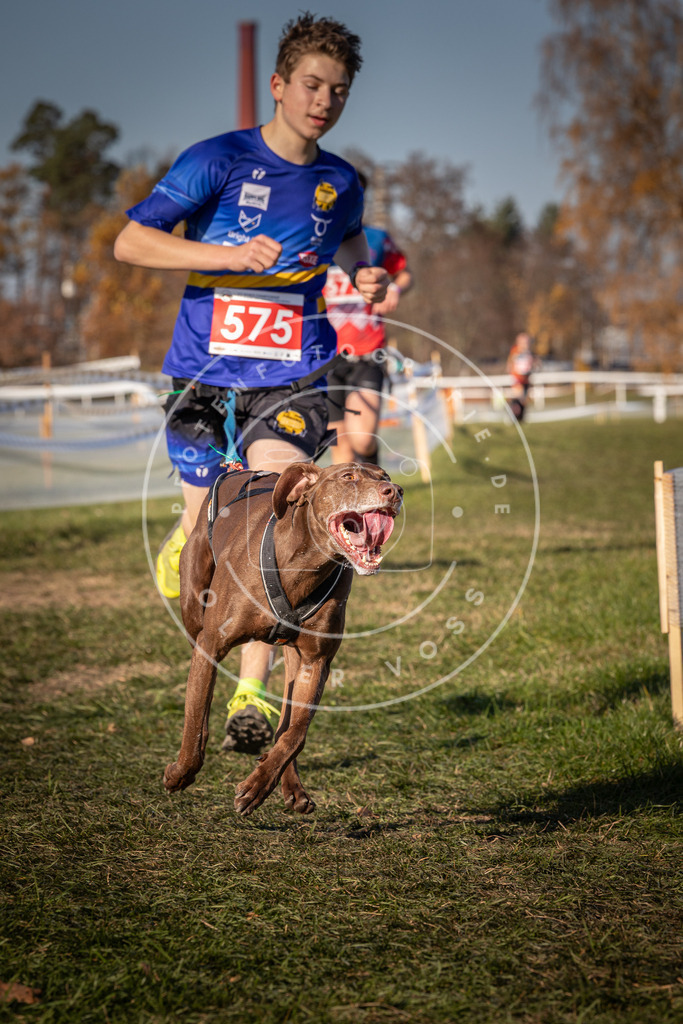 CaniXpix_0L8A8112 | Hundefotografie, Tierfotograf, Pfotenfotografie, Fotoshooting Hund, Hunde Portrait, Hundesport, Hundeportraits, Heideshooting, Hunde, Sportfotograf, Hundefotograf, Turnierhundsport, THS,  - Realisiert mit Pictrs.com