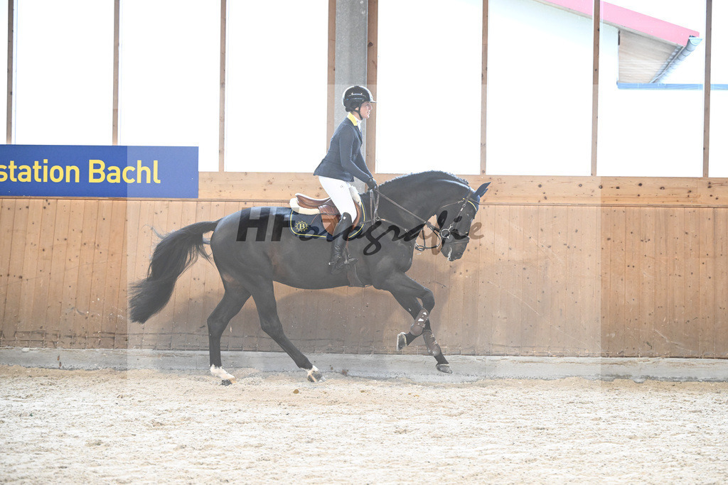 Adzaro de L Abbaye B_7240588 | hf-fotografie - Realisiert mit Pictrs.com
