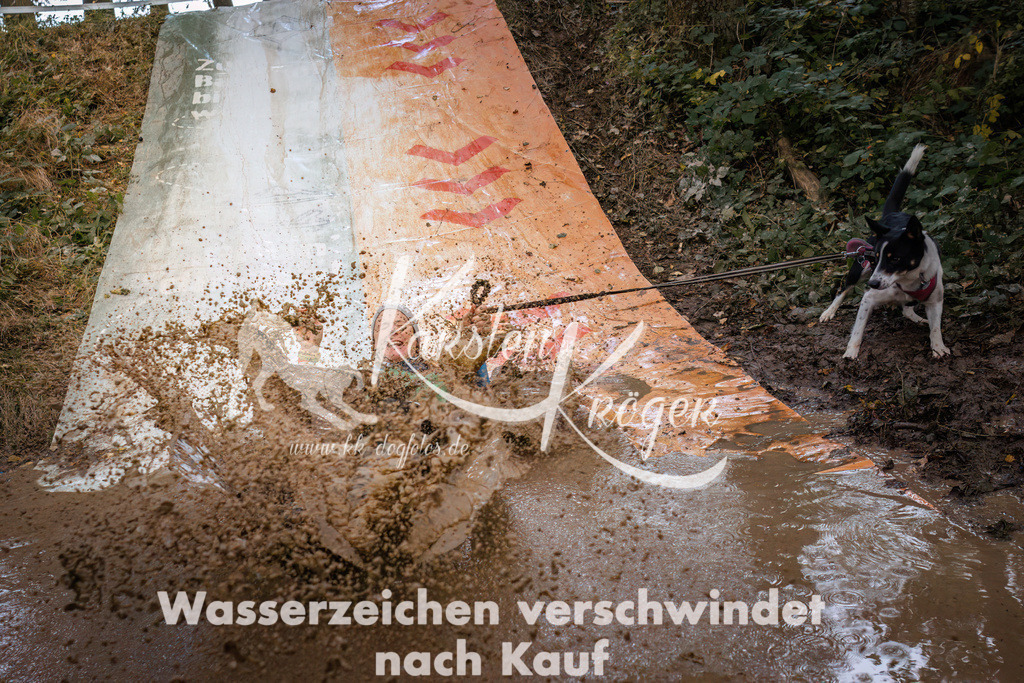 0853_ZZ91012 | kk-dogfotos