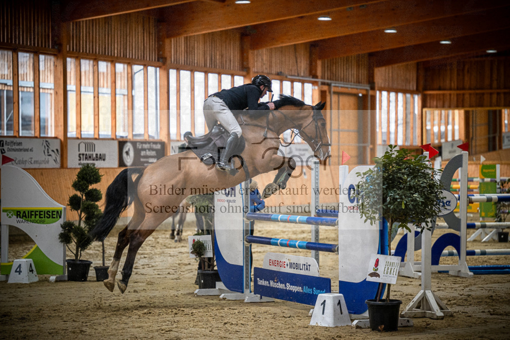 DOS_0609 | Entdecke hochwertige Reitturnierfotos von Foto Oger. Professionell, emotional und authentisch – jetzt Lieblingsmomente im Shop bestellen.Deutschlandweite Turnierfotografie. - Realisiert mit Pictrs.com