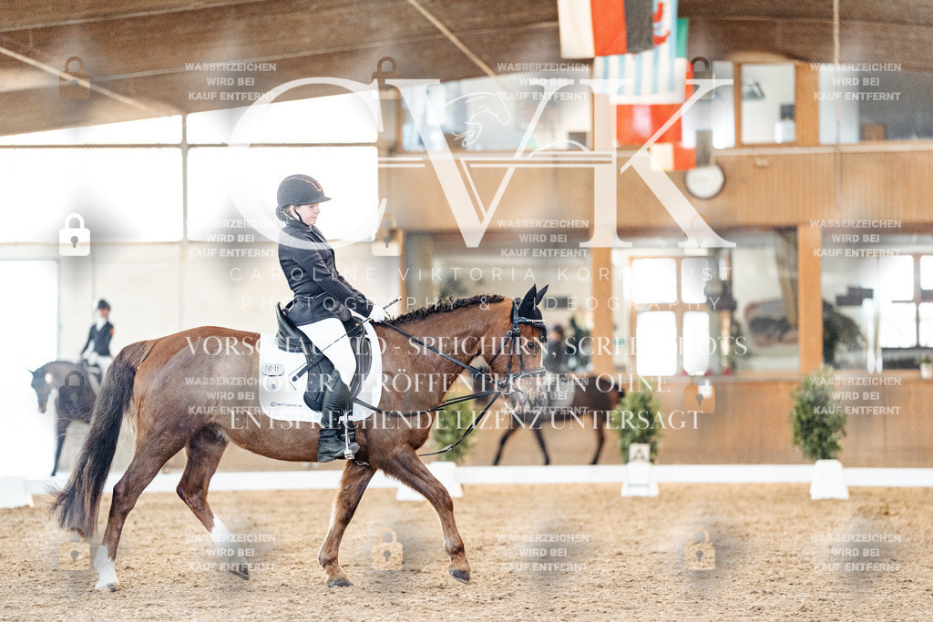CK907059 | Turnierfotografie Pferdefotografie Trier Rheinland-Pfalz Pferdesport Reitsport Tierfotografie Sportfotografie Pferdevideo Pferdevideografie Equestrianvideography equestrianphotography  - Realisiert mit Pictrs.com