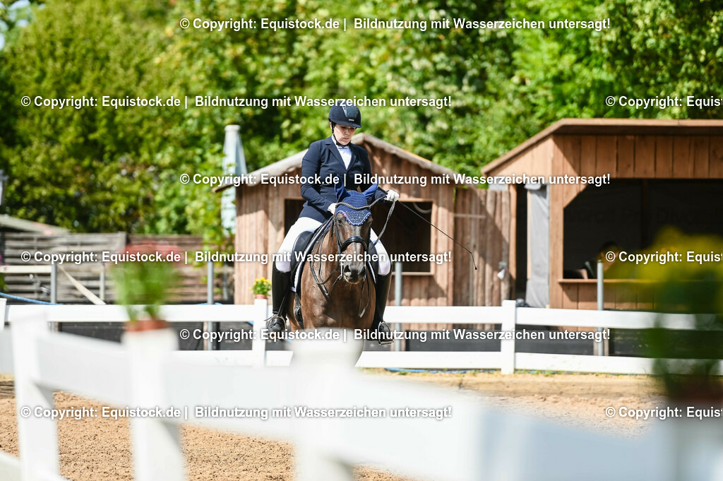 20230716_01_Dressurprüfung Kl.M_0310 | equistock