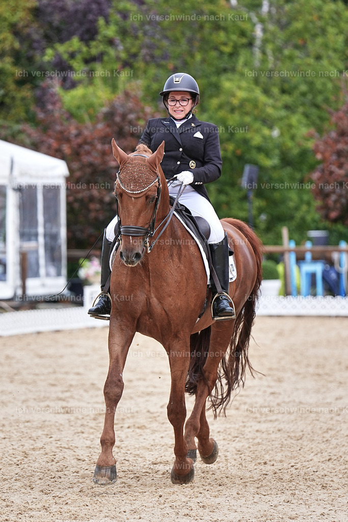07-023-DRESSUR  S___  -Marixx-5146 | working equitationturnier fotograf videograf stoibphotography marixx film working equitation deutschland reitsport turnierfotografie eventfotografie equestrian events