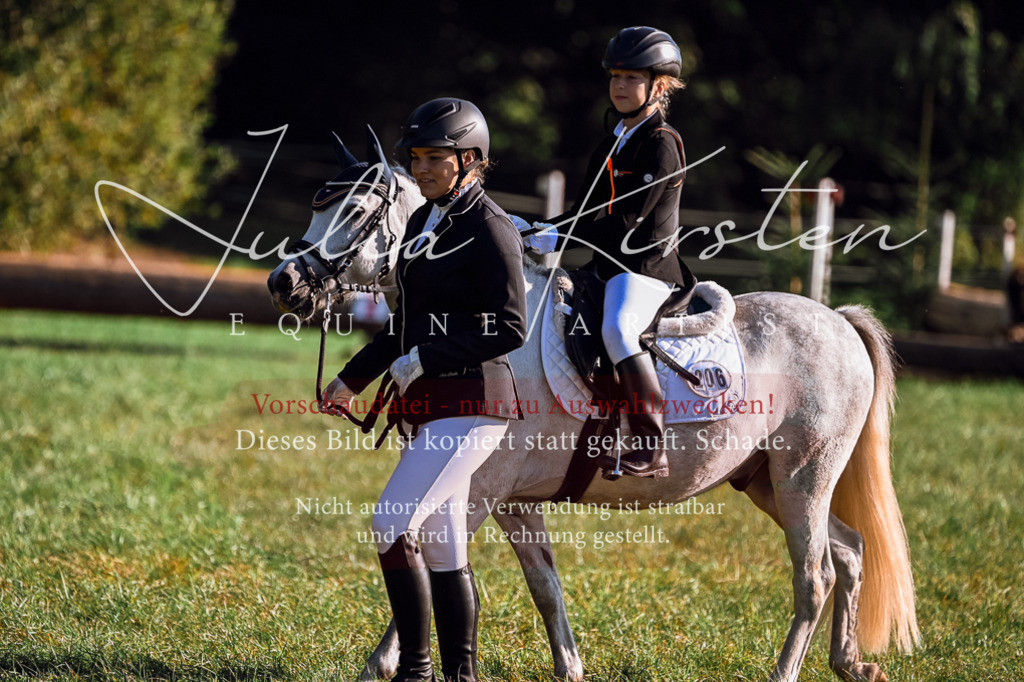 DSC_0405 | Pferde- und Turnierfotografie in Westsachsen. Pferdeportraits, Auftragszeichnungen und intuitive Kunst.