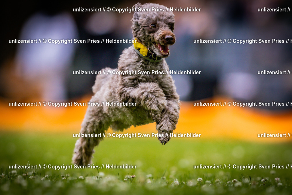 Sven Pries | 2025-05-29 - Pudelrennen KA-Durlach - Realisiert mit Pictrs.com