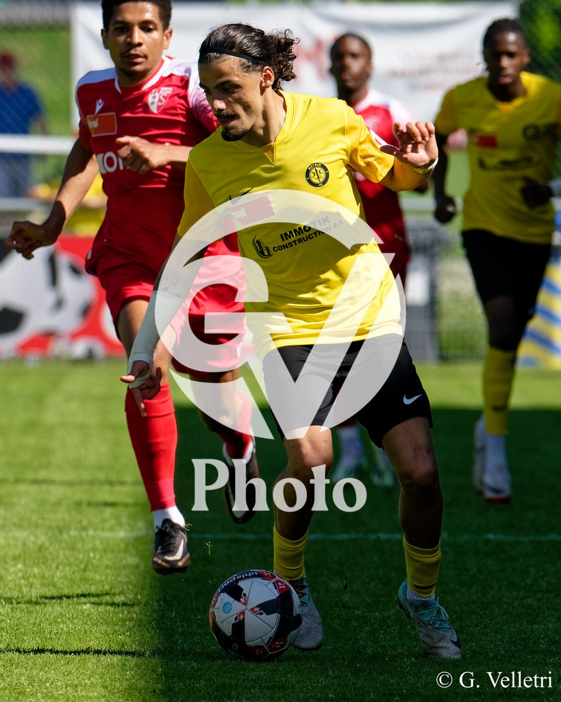 DSC_8171 | Velletri Photo