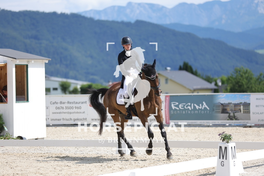 0P6A5777 | Willkommen bei Brunnmayr - Design & Fotografie – Ihrem Spezialisten für Reitturniere und Pferdeveranstaltungen in Oberösterreich, Salzburg und Bayern! Seit über 17 Jahren sind wir leidenschaftlich dabei.