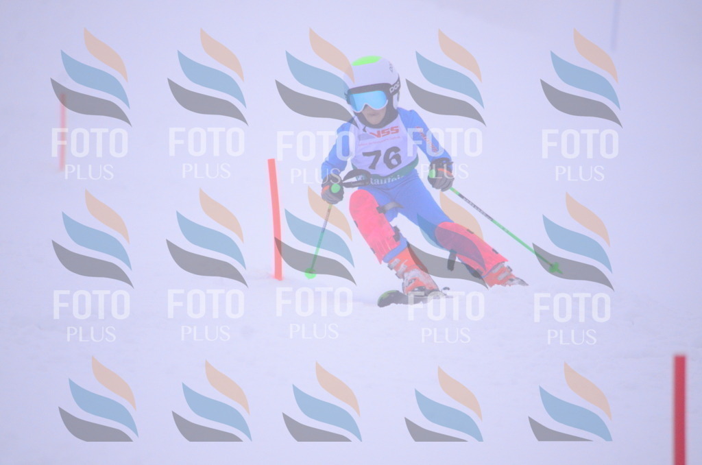 A4277 | holidayphoto