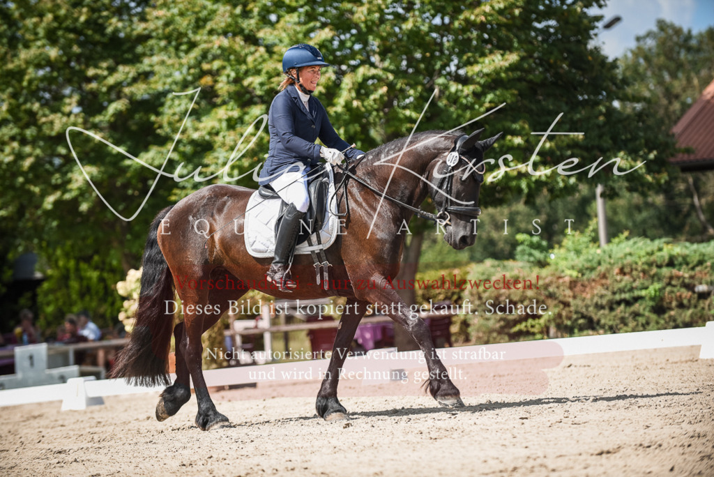 DSC_9175 | Pferde- und Turnierfotografie in Westsachsen. Pferdeportraits, Auftragszeichnungen und intuitive Kunst.