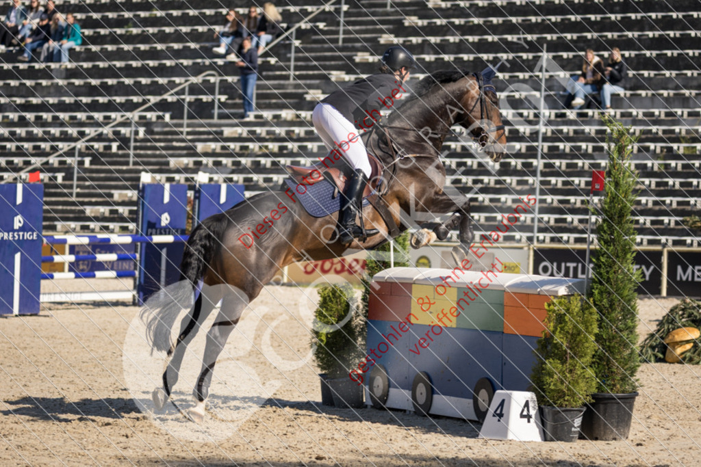 IMG_3320 | Sport-, Event- und Tierfotos in Profiqualität. Einfach auswählen, bestellen und herunterladen. Dein Moment – perfekt festgehalten.