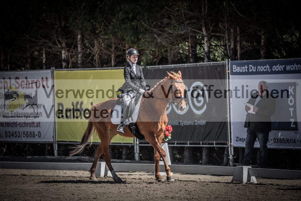 DSC_0060 | equestrian-live-com