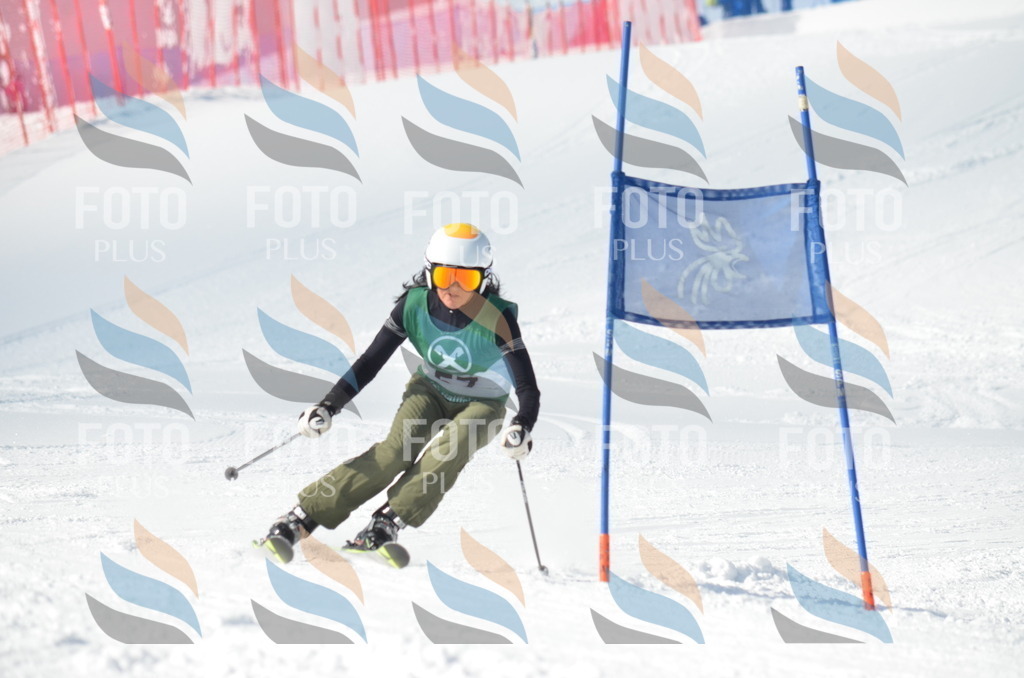 D8835 | holidayphoto