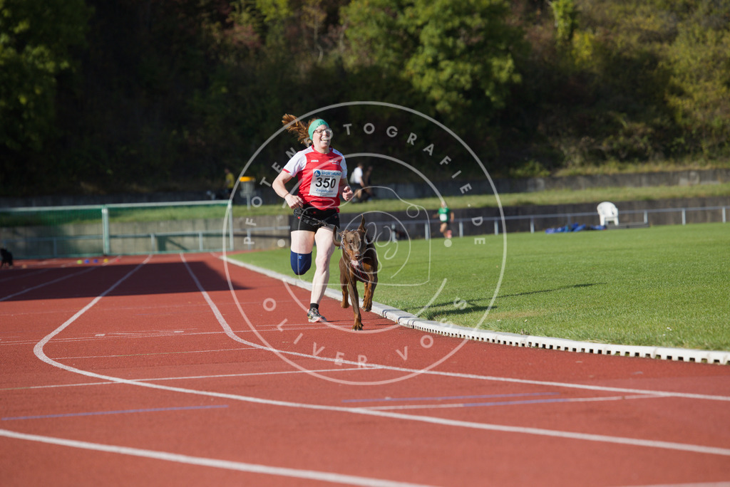 0L8A9517 | Hundefotografie, Tierfotograf, Pfotenfotografie, Fotoshooting Hund, Hunde Portrait, Hundesport, Hundeportraits, Heideshooting, Hunde, Sportfotograf, Hundefotograf, Turnierhundsport, THS,  - Realisiert mit Pictrs.com