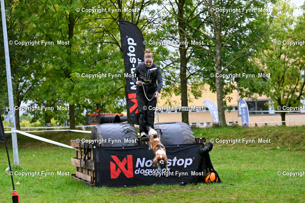 DSC_2586 | Hallo und herzlich Willkommen auf meiner Shop-Seite Fynn Most.

Ich wünsche Dir viel Spaß beim stöbern durch die Bilder, wenn Du Fragen hast oder Bilder vermisst, kannst du mir gerne eine Nachricht schreiben. - Realisiert mit Pictrs.com