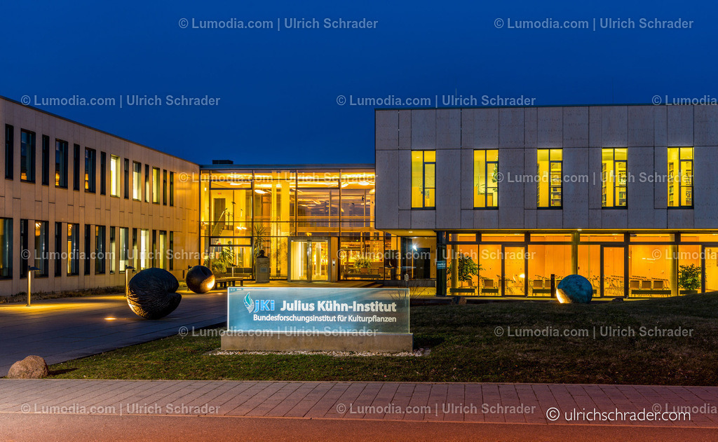 _ulrichschrader.com-200 | Stockfoto und Bilderpool mit Bildmaterial aus Deutschland, dem Harz, Halberstadt, Quedlinburg, Wernigerode und weltweit. Qualitativ hochwertige und professionelle Fotos anschauen und kaufen. - Realisiert mit Pictrs.com