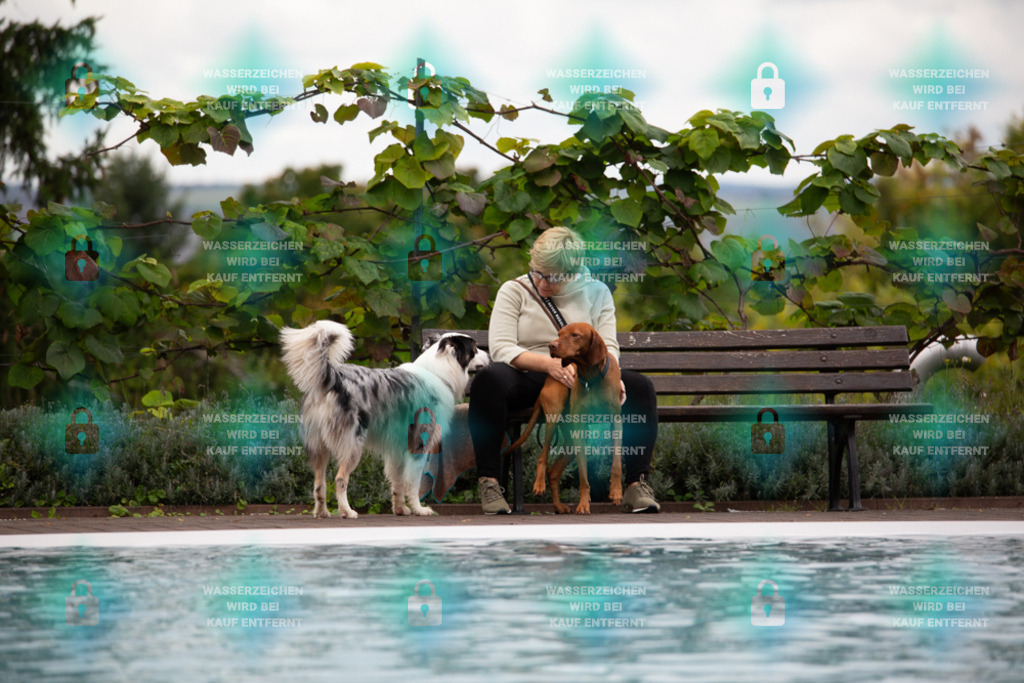 _HP_6040_1000o | HetPix, HetPix Fotodesign, Fotografie, Fotodesign, Webshop, Sportfotografie, Portraitfotografie, Onlineshop, Sportfotografie, Polch, Motorsportfotografie, Eventfotografie