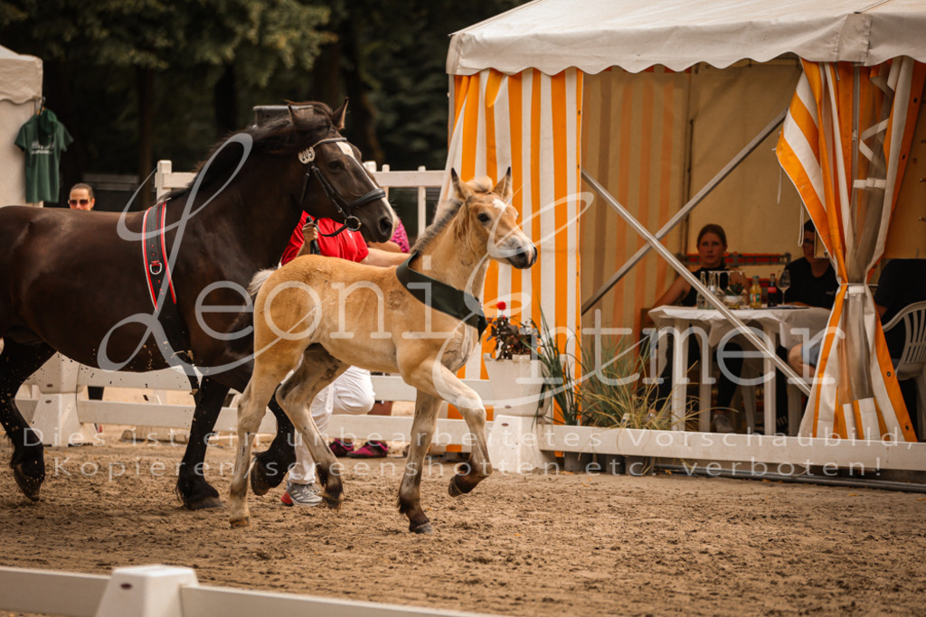 SaSF00193 | Leoni Ertmer Photography - Realisiert mit Pictrs.com